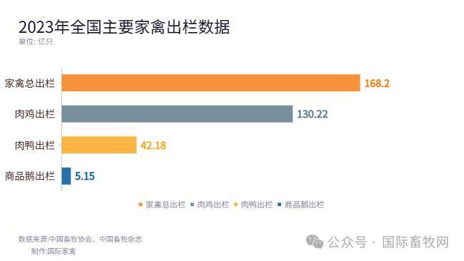 乐鱼体育2023年我邦度禽出产数据领悟：肉鸡、肉鸭、肉鹅等通盘产能均创史乘新高(图1)